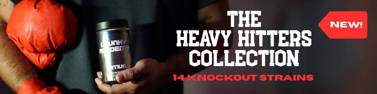 The Heavy Hitters Collection