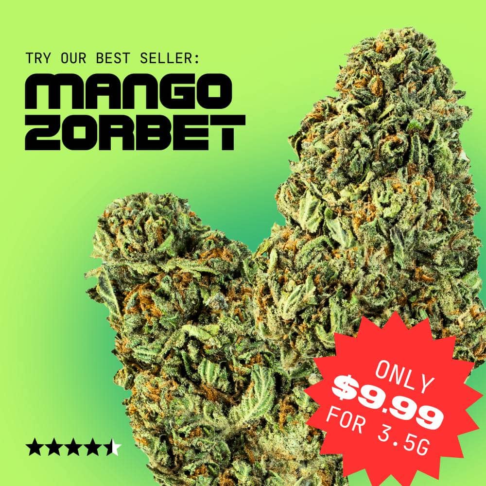 Mango Zorbet